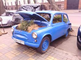 Угадай страну по номеру авто!