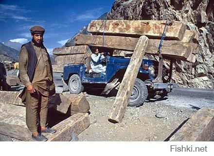 Та не!... не только!