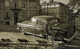 А это кто? С виду прям 21-я, но откель жалюзи с боков и на попе?