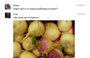 Смешные комментарии из социальных сетей 05.06.14