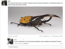 Смешные комментарии из социальных сетей 30.09.14