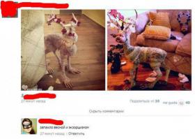 Смешные комментарии из социальных сетей 06.10.14