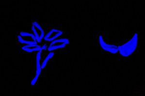 этим еще учиться и учиться! вот признанные мэтры (из Питера)