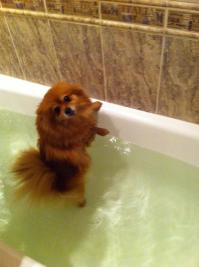 наше чудовище ))