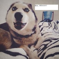 Рисунки из&nbsp;книги монстров XVIII века