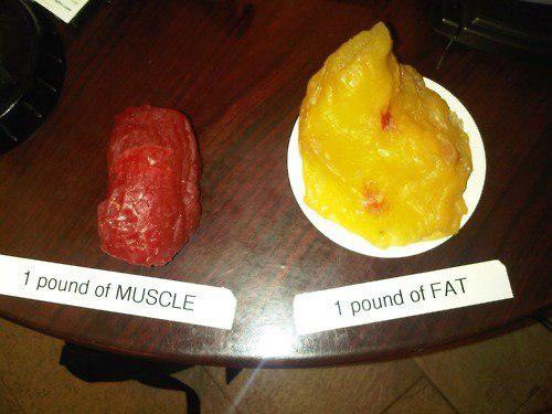 Одна и та же цифра на весах – а какой разный эффект
