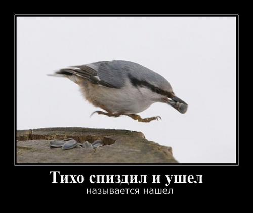 Подборка видео от 12.11.2013