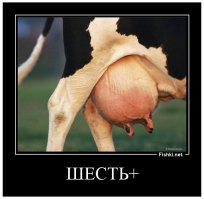 Отдохнем от политики 