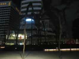 Вот в Токио такой же живет, сори, фоткал ночью и пьяный)))