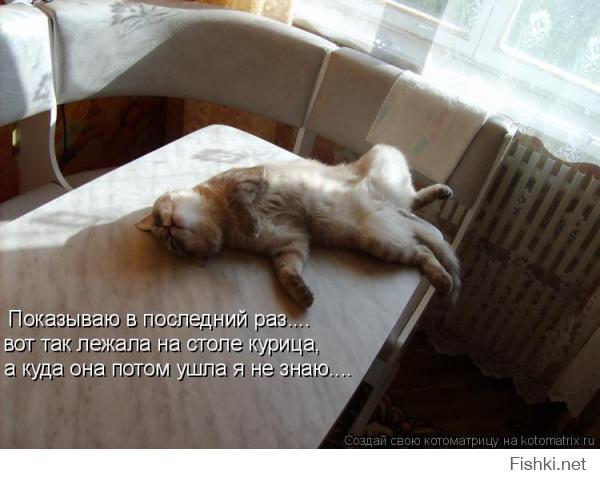 Коты, которых поймали на горячем