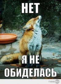 17 животных, которые сыты по горло этими вашими обнимашками