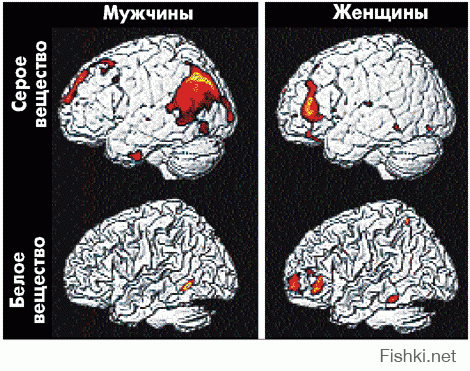 21 мужское правило