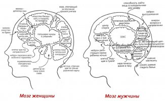 Гендерные стереотипы