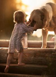 Это фото Елены Шумиловой.Они уже не раз появлялись на Фишках, но все равно каждый раз смотришь,и ,восторгаешься ими!