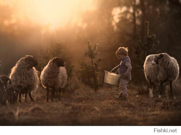 Это фото Елены Шумиловой.Они уже не раз появлялись на Фишках, но все равно каждый раз смотришь,и ,восторгаешься ими!