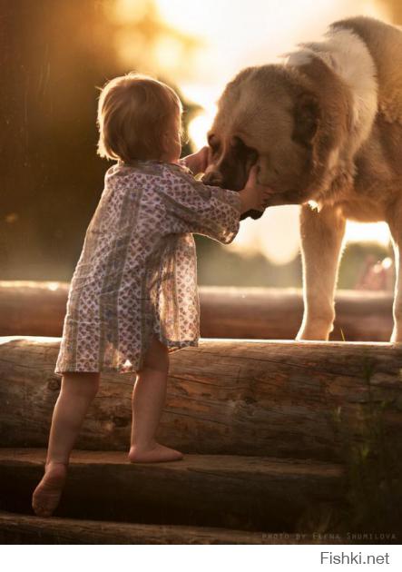 Это фото Елены Шумиловой.Они уже не раз появлялись на Фишках, но все равно каждый раз смотришь,и ,восторгаешься ими!