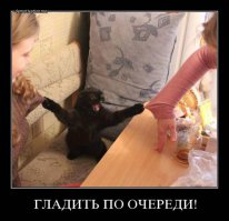  Усатые, полосатые, пятнистые и очень дорогие