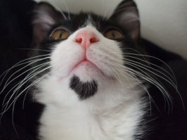 на эту же тему