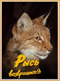 ТОП-8 фильмов о спасении животных