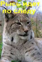 ТОП-8 фильмов о спасении животных