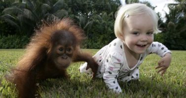 Мир принадлежит тому, кто ему рад !