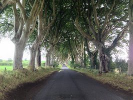 он уверен, что это Исландия? вот мои фото с позапрошлого  отпуска и это Ирландия