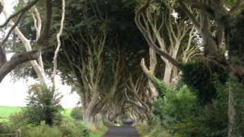 он уверен, что это Исландия? вот мои фото с позапрошлого  отпуска и это Ирландия