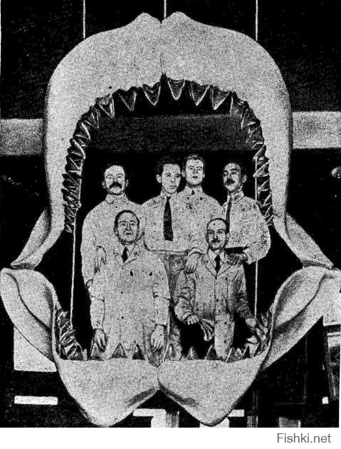 " Тени в море"-Книга детства, сожрал спаниель.