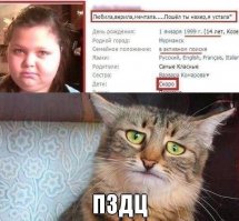 Смешные комментарии из социальных сетей 26.01.15