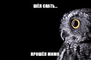 Смешные картинки с подписями 