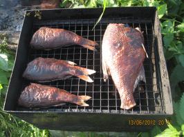 Мой рецепт копченой рыбы