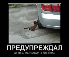 Автоприколы
