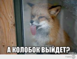  Картинки со смешными подписями