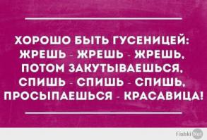 25 весёлых открыток