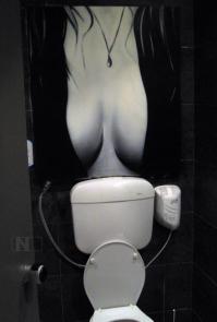 Оригинальный вариант отделки туалета