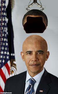 Как выглядят животные, потерявшие свой мех