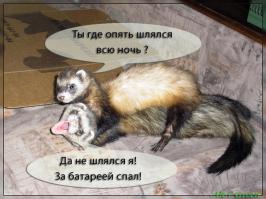 Фотоподборка за 11.06.2014