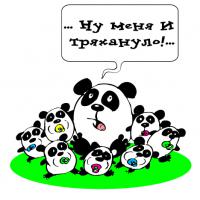 Рождение маленькой панды