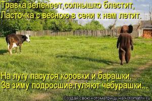 Фишкина солянка за 02.11.2014