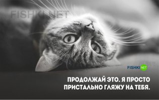 с нашей кошкой это не прокатывало, мелкими мы начинали за ней гонятся, , после чего она так пристально больше не смотрела