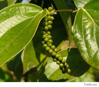 Они чем-то похожи) Неудивительно, что ошиблась)