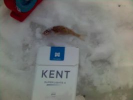 Зато мой по себестоимости всех ваших бьет! Это один на троих. (Бензин, мотыль,подкормка, еда, водка,и т.п.).