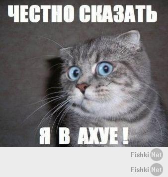 Это кто кого в садок положил????:)