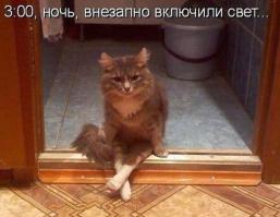 :)Ну что уставился !?! Закурить дай !!!