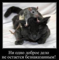 напомнило...