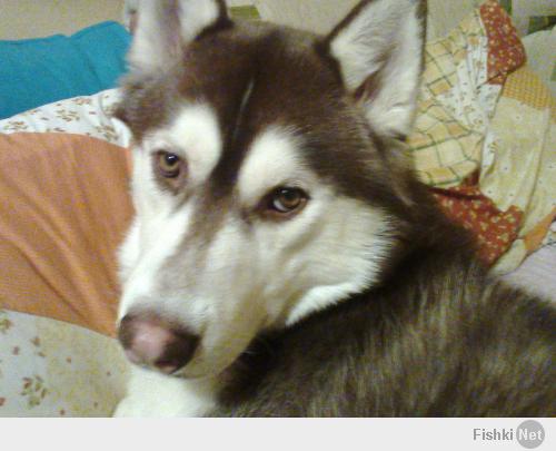 А сейчас он такой)