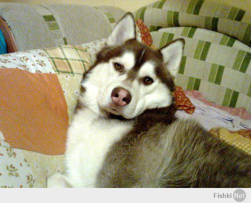 А сейчас он такой)