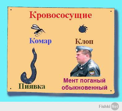 Смешные комментарии из социальных сетей 08.04.14 