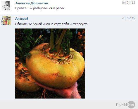Смешные комментарии из социальных сетей 08.04.14 