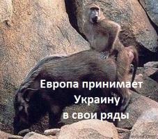 В Украину приходит европейская жизнь. Примечательный ответ на вопросах